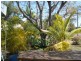 Blackwater QLD 4717