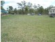 Dingo QLD 4702
