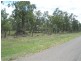 Dingo QLD 4702