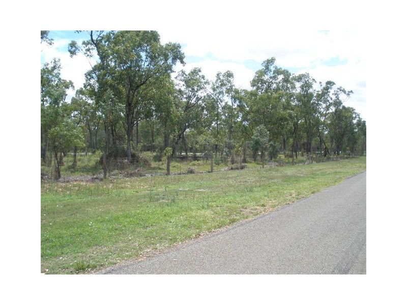 Dingo QLD 4702