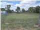 Dingo QLD 4702