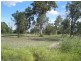 Comet QLD 4702