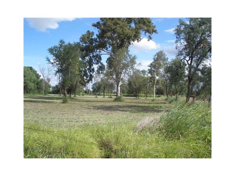 Comet QLD 4702