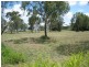 Comet QLD 4702