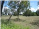 Comet QLD 4702