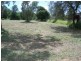 Comet QLD 4702