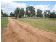Comet QLD 4702