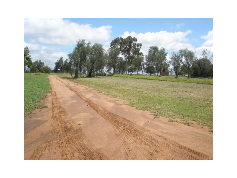 Comet QLD 4702