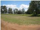Comet QLD 4702