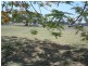 20 Bendee Crescent, Blackwater QLD 4717
