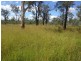0 Fingers Road, Dingo QLD 4702
