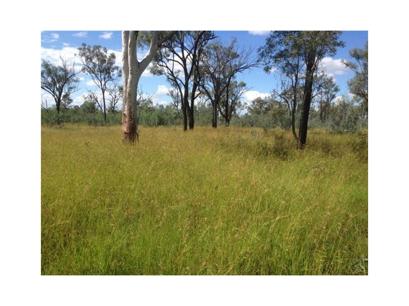 0 Fingers Road, Dingo QLD 4702