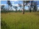 0 Fingers Road, Dingo QLD 4702
