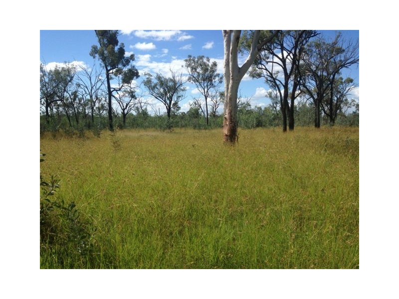 0 Fingers Road, Dingo QLD 4702