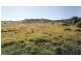 Boolburra QLD 4702