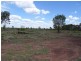 Dingo QLD 4702