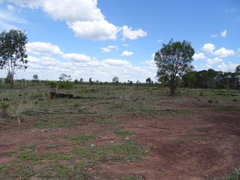 Dingo QLD 4702
