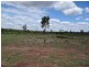 Dingo QLD 4702