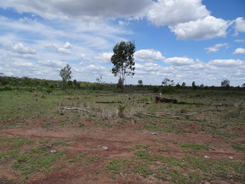 Dingo QLD 4702