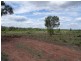 Dingo QLD 4702