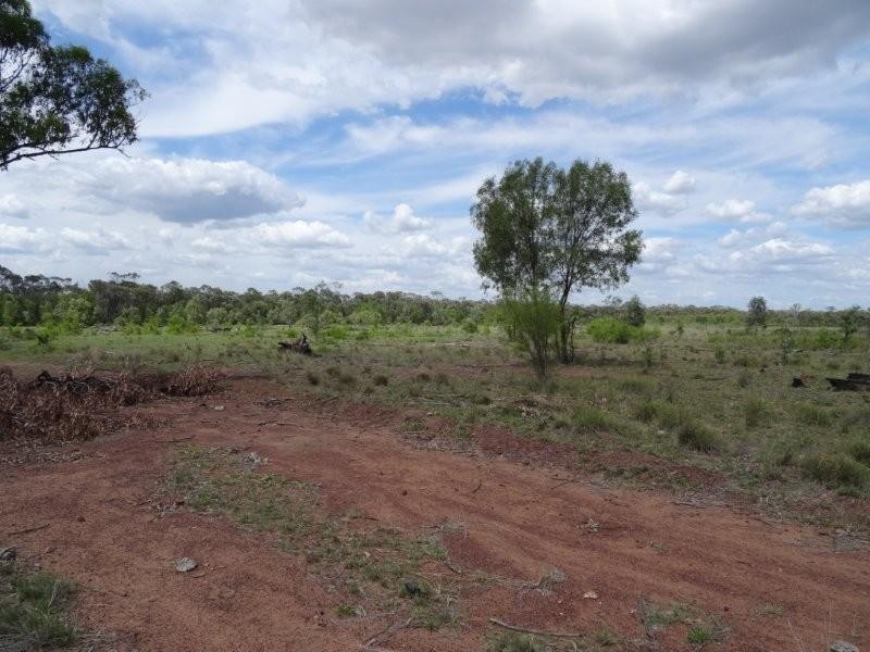 Dingo QLD 4702