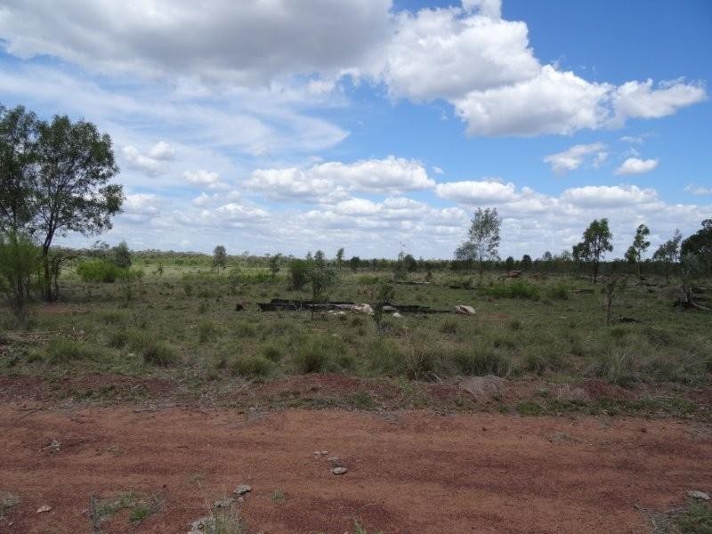Dingo QLD 4702