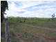 Dingo QLD 4702
