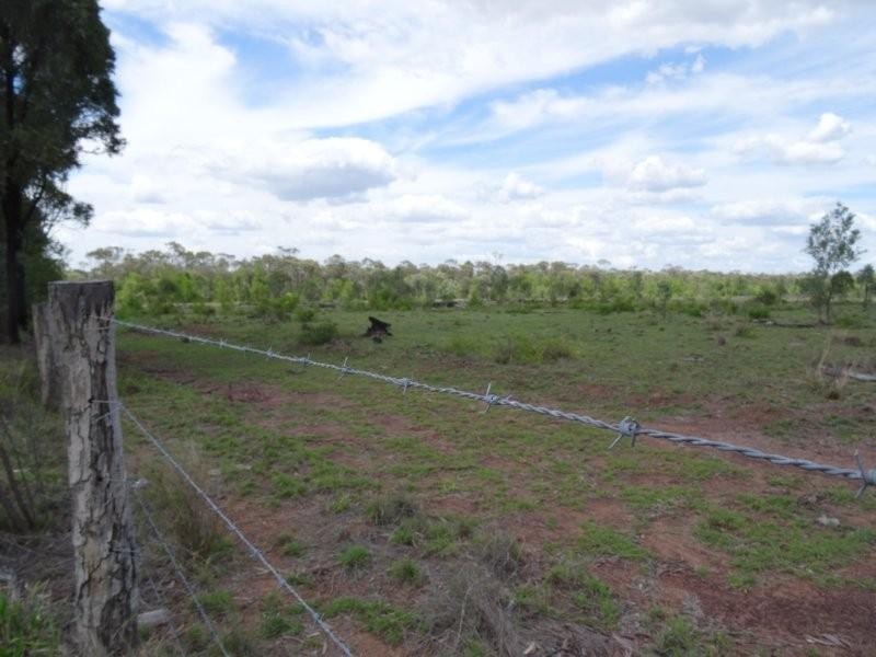 Dingo QLD 4702
