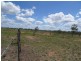 Dingo QLD 4702