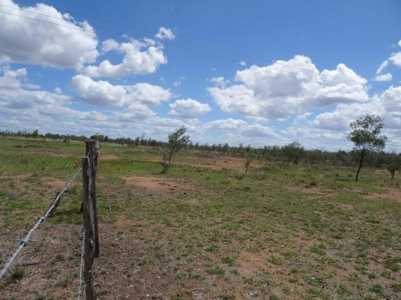 Dingo QLD 4702