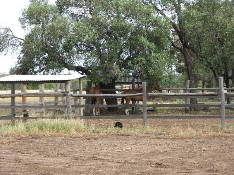 Blackwater QLD 4717