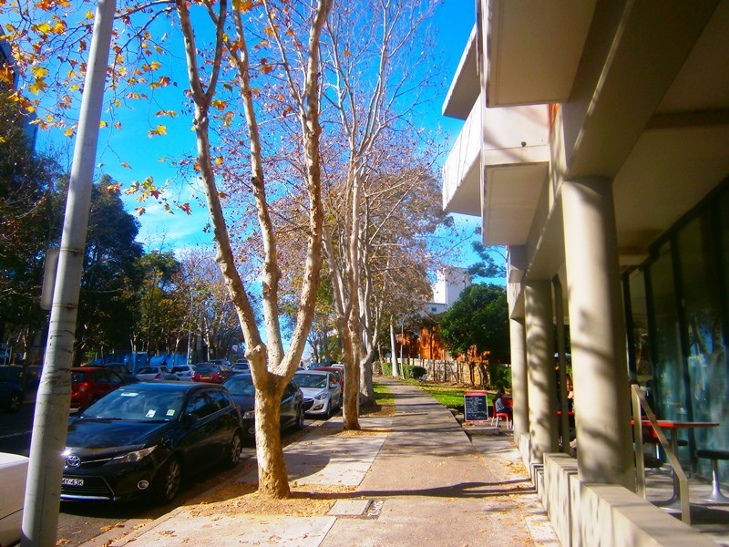 SHOP 11/130 Carillon Ave, Newtown NSW 2042