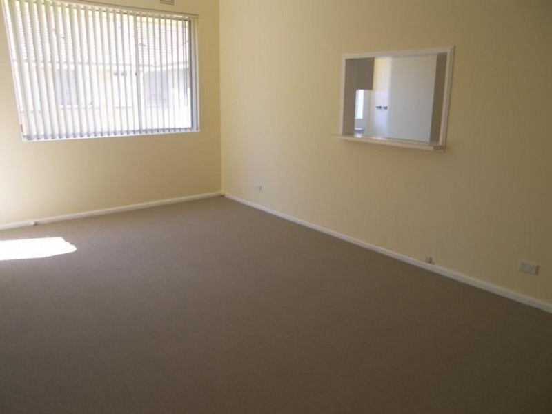 17/30-36 Minter Street, Ashbury NSW 2193