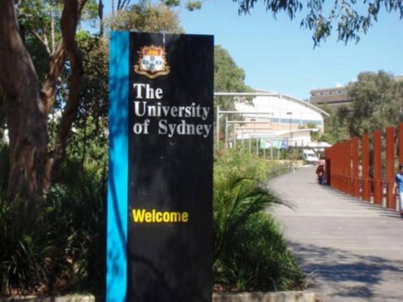 4/325 Abercrombie Street, Darlington NSW 2008