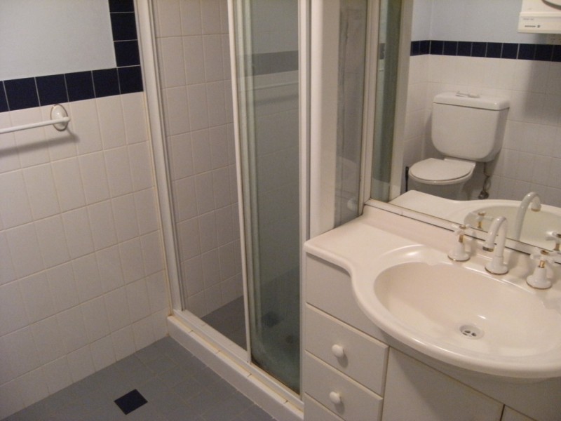 29/1 Linthorpe Street, Newtown NSW 2042