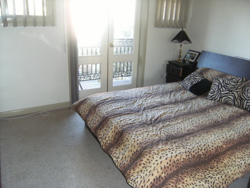 169 Union Street, Erskineville NSW 2043