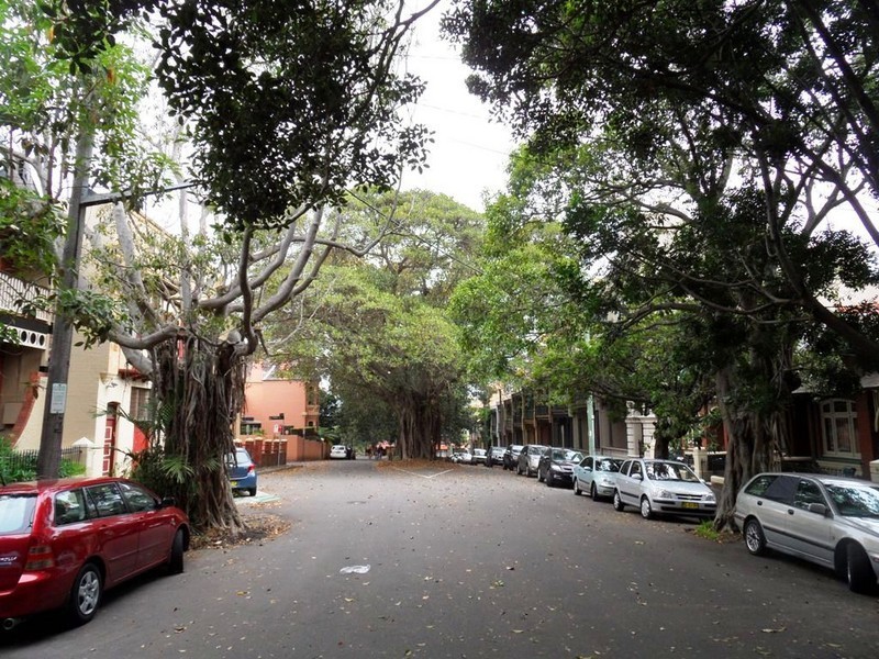 12 Georgina St, Newtown NSW 2042