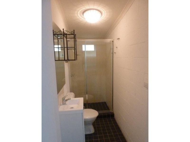 17 Bedford Street, Newtown NSW 2042