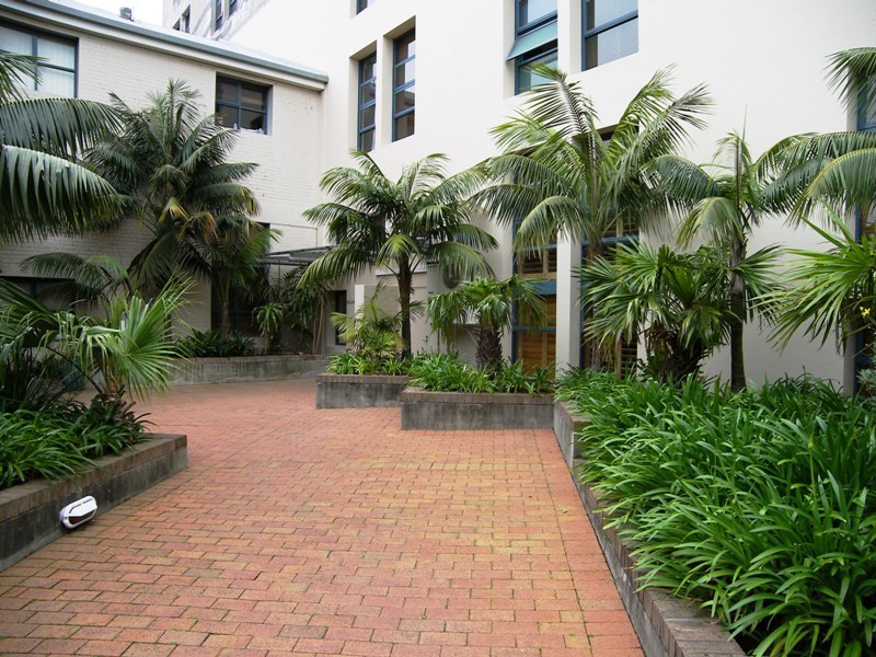 20b/2  Cardigan Lane, Camperdown NSW 2050