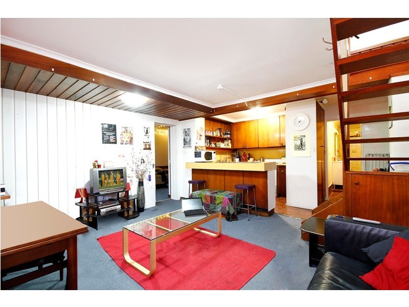 51 Georgina Street, Newtown NSW 2042