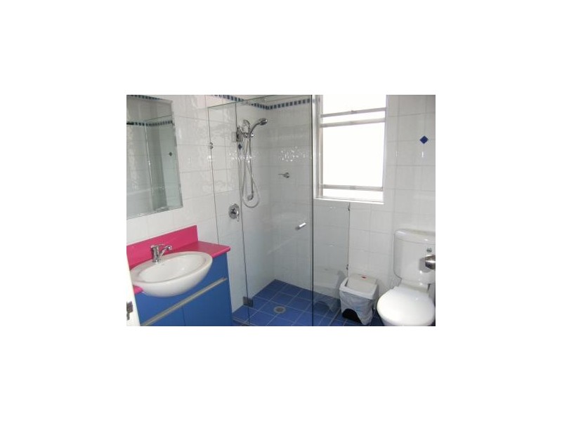 236  Oxford Street, Paddington NSW 2021