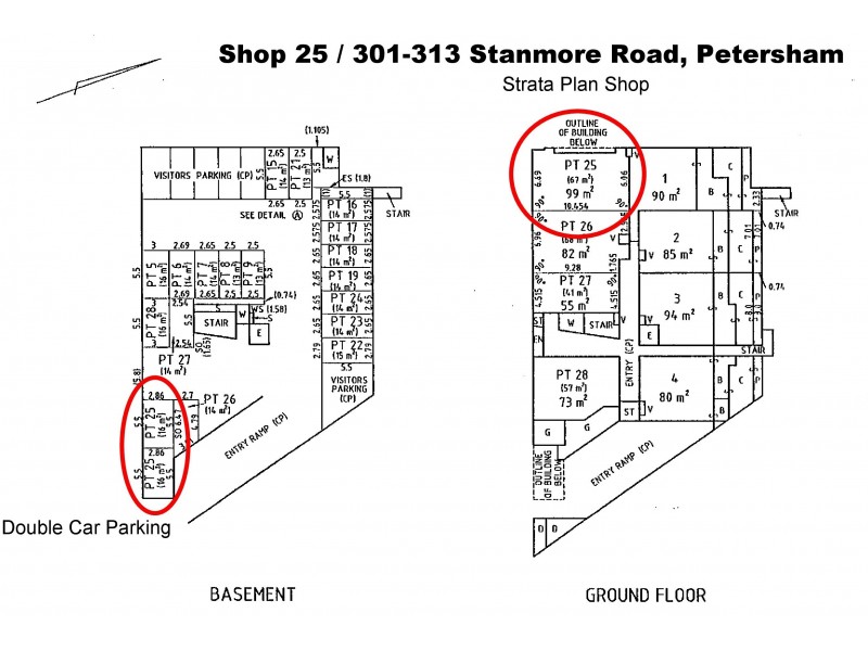 Petersham NSW 2049 Floorplan