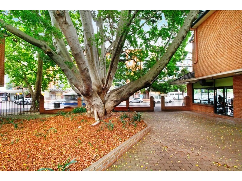 20/492-500 Elizabeth Street, Surry Hills NSW 2010