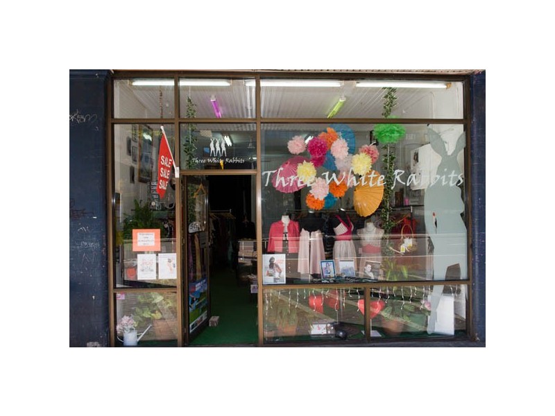 22 Flinders Street, Darlinghurst NSW 2010