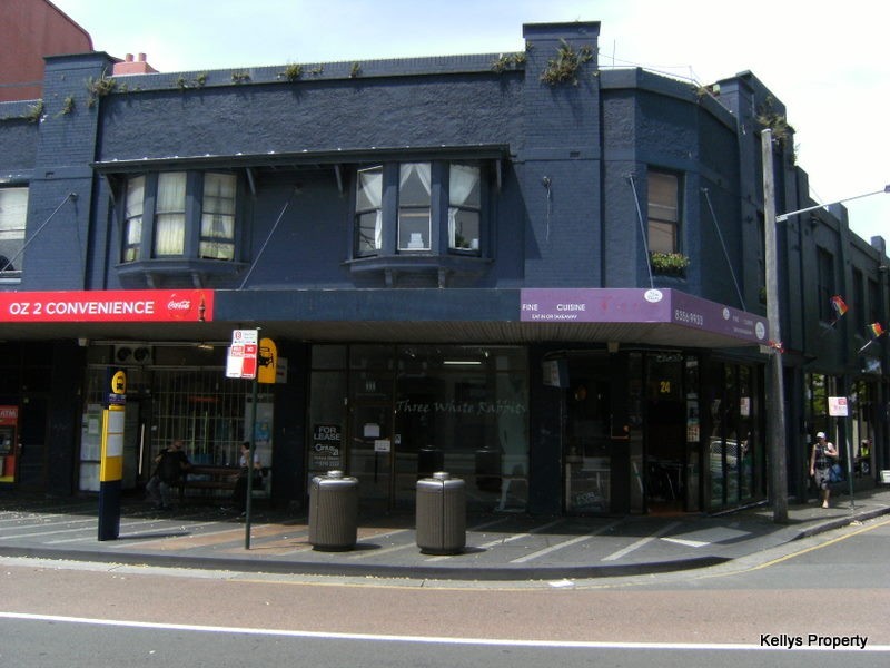 22 Flinders Street, Darlinghurst NSW 2010