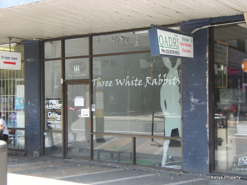 22 Flinders Street, Darlinghurst NSW 2010