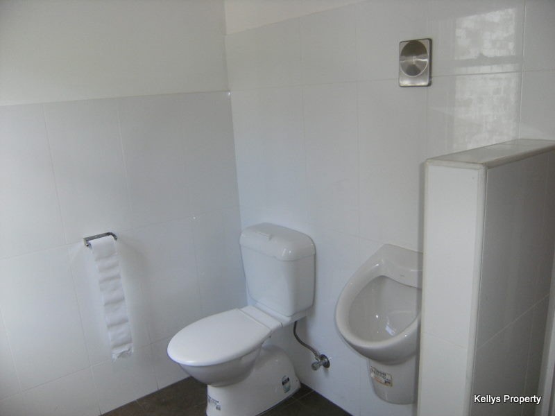 6 Heeley Street, Paddington NSW 2021