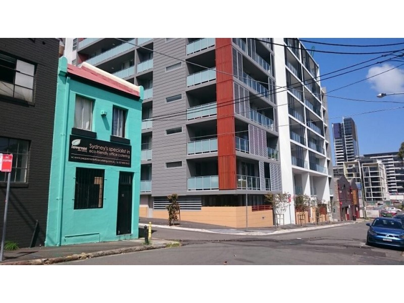 16 Amelia Street, Waterloo NSW 2017