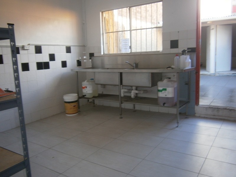 16 Amelia Street, Waterloo NSW 2017