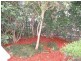 3 May Street, St Peters NSW 2044